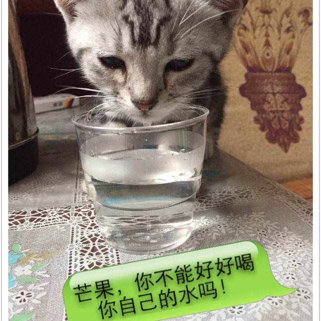 怎么做假宾夕法尼亚州